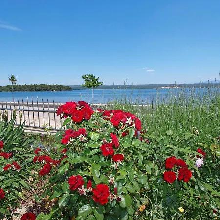 Ivana-2 By Interhome