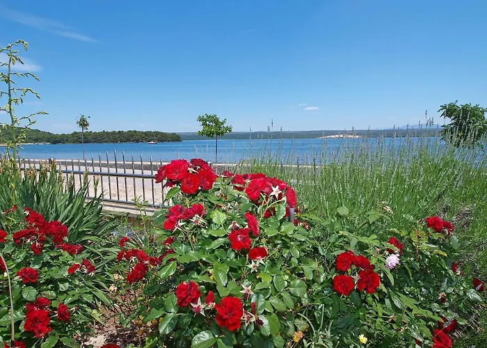 Ivana-2 By Interhome